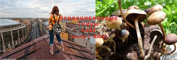 дмт Ачинск
