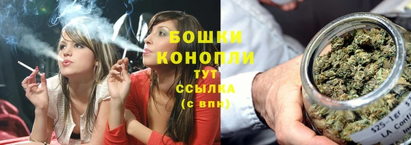 не бодяженный Бердск