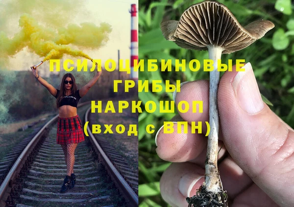 дмт Ачинск