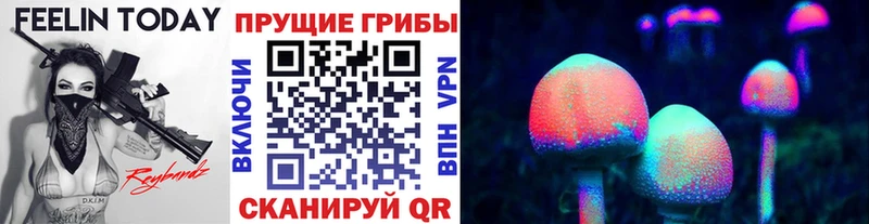 Галлюциногенные грибы Psilocybine cubensis  Дегтярск 