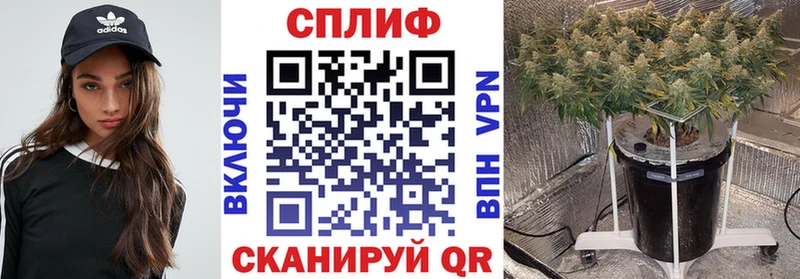 Канабис MAZAR  наркотики  Дегтярск 